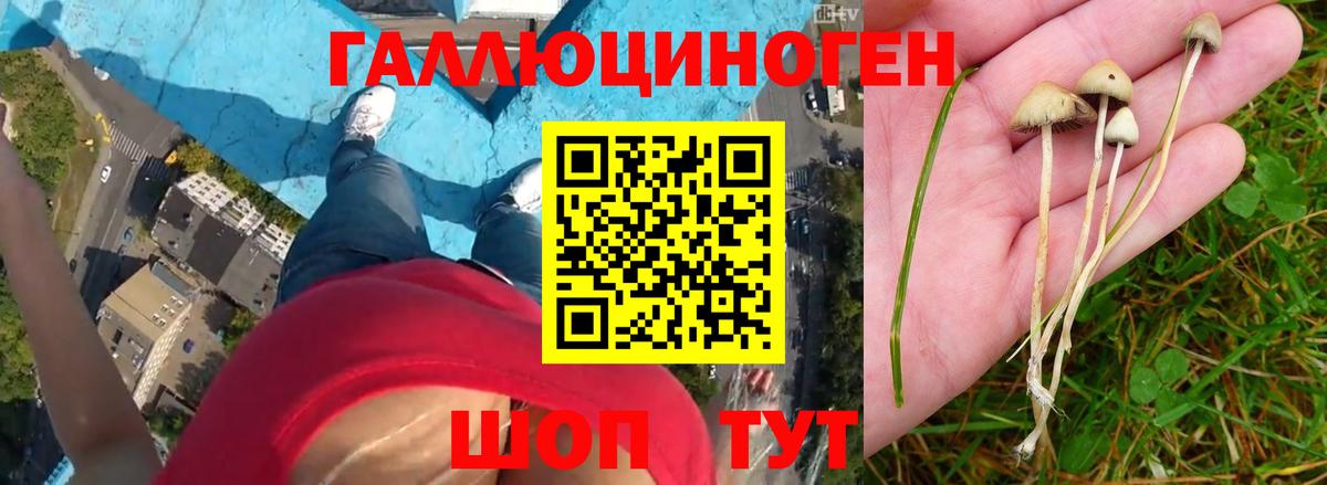 Галлюциногенные грибы мухоморы  Вход с VPN  Краснодар 